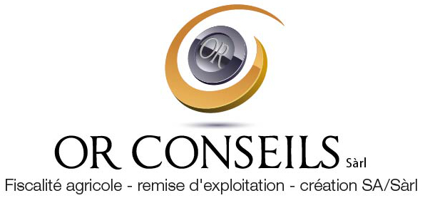 LogoOrconseils